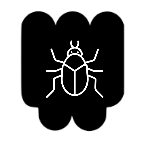 Bugs!