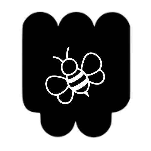 Bee-Bots Beginner Coding Kit